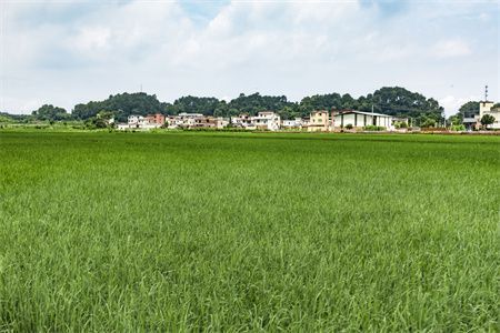 农村房屋地基沉降多少属正常