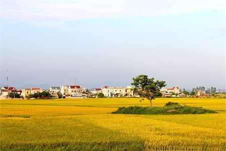 砖混横墙承重（砖混结构加固技术的应用案例砖混结构房屋开间设计限制） 北京加固施工 第4张