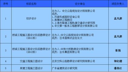 工程设计负责人资格要求标准（工程设计负责人的资格要求标准）