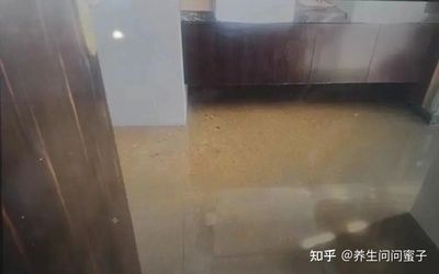 楼房修改下水管道怎么报备（在楼房中修改下水管道需要经过哪些流程） 结构机械钢结构施工 第3张