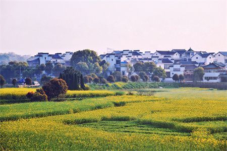 小区业主房屋改造谁管