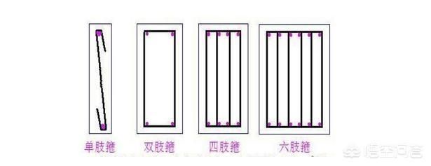 房屋梁的钢筋分布图（房屋梁的钢筋分布图包括梁的编号、截面尺寸、箍筋、架立筋）