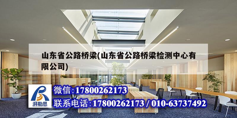 山东省公路桥梁(山东省公路桥梁检测中心有限公司)