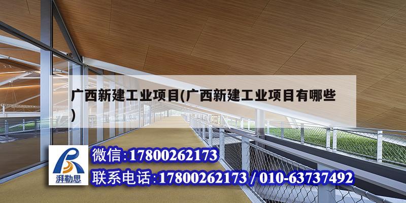 广西新建工业项目(广西新建工业项目有哪些)